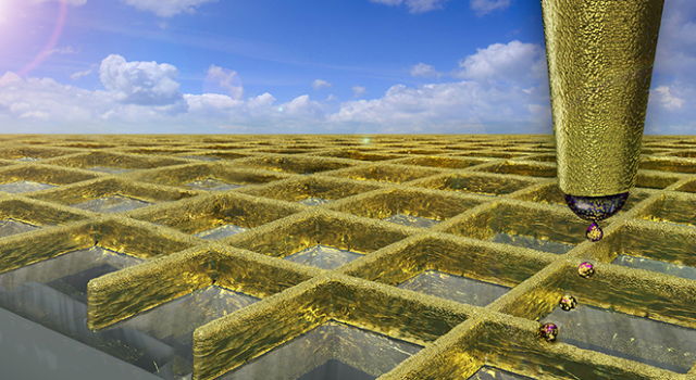 Swiss Startup - Scrona Profile Main Image