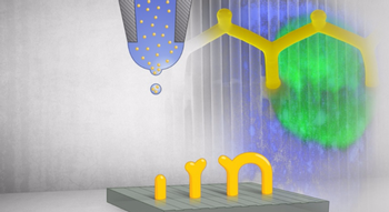 Swiss Startup - Scrona Team Image