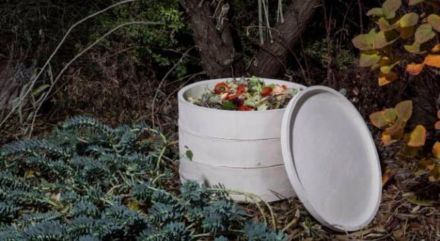 Swiss Startup - WormUp Profile Main Image