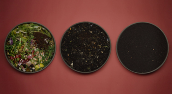 Swiss Startup - WormUp Team Image