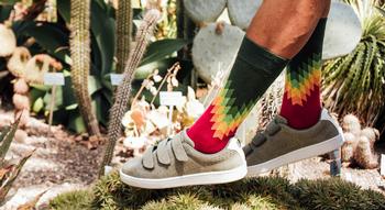 Swiss Startup - DillySocks Product Image