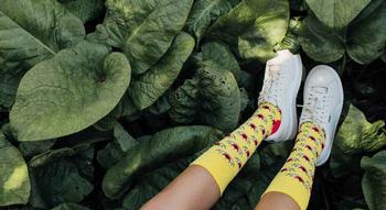 Swiss Startup - DillySocks Team Image