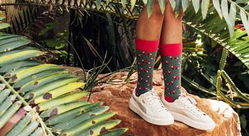 Swiss Startup - DillySocks Additional Image