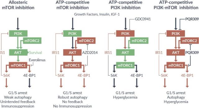 Swiss Startup - PIQUR Therapeutics Profile Main Image