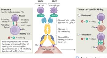 Swiss Startup - Affivant Sciences Product Image