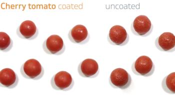 Swiss Startup - AgroSustain Team Image