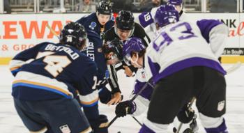 Swiss Startup - Bearmind Additional Image