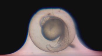 Swiss Startup - Bionomous Additional Image