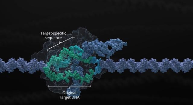 Swiss Startup - Crispr Therapeutics Profile Main Image
