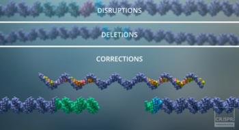 Swiss Startup - Crispr Therapeutics Product Image