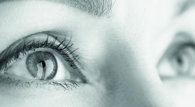 Swiss Startup - EarlySight Profile Main Image