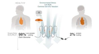 Swiss Startup - HAYA Therapeutics Product Image