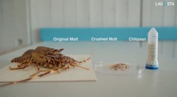 Swiss Startup - LAGOSTA Product Image