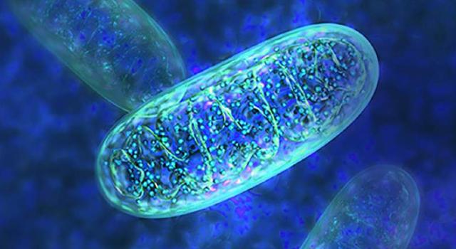 Swiss Startup - MPC Therapeutics Profile Main Image