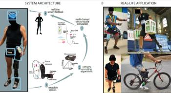 Swiss Startup - MYLEG Product Image