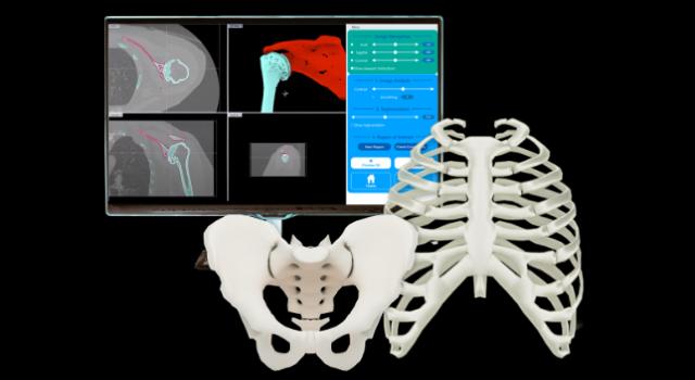 Swiss Startup - Mirrakoi Profile Main Image