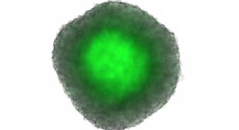 Swiss Startup - TOLREMO therapeutics Additional Image