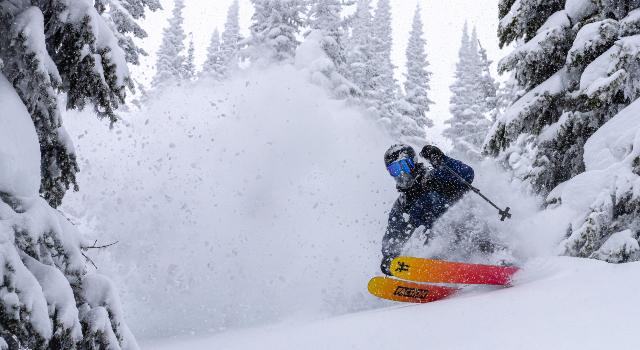 Swiss Startup - The Faction Collective Profile Main Image