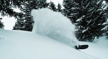 Swiss Startup - The Faction Collective Team Image