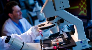 Swiss Startup - Xsensio Team Image