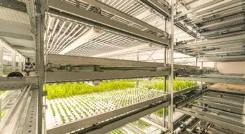 Swiss Startup - Yasai Product Image