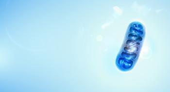 Swiss Startup - cellvie Team Image