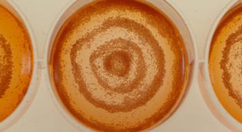 Swiss Startup - mimiX Biotherapeutics Additional Image